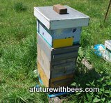 Stacked honeybee hives 