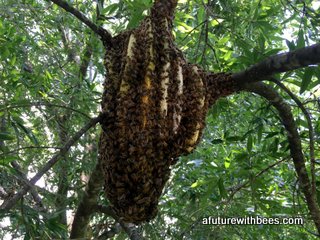 Open air honey bee hive