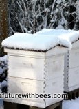 snow bee hive
