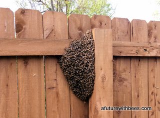 Fence Swarm